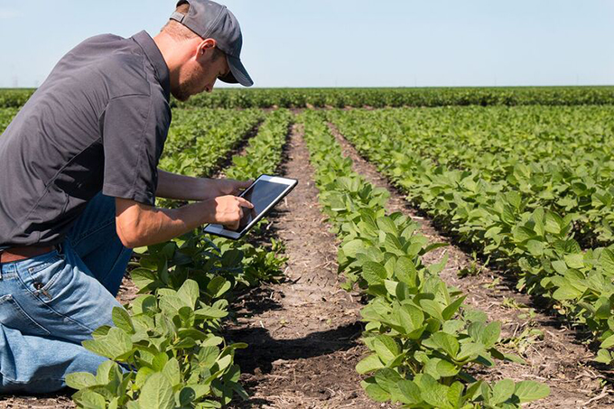 5 Reasons to Enter the Agriculture Industry