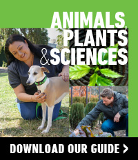 Animals, Plant & Sciences