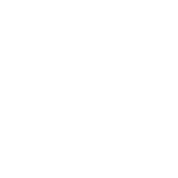 our courses