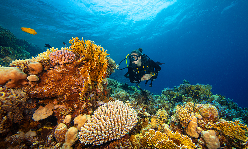 Master of Marine Biology