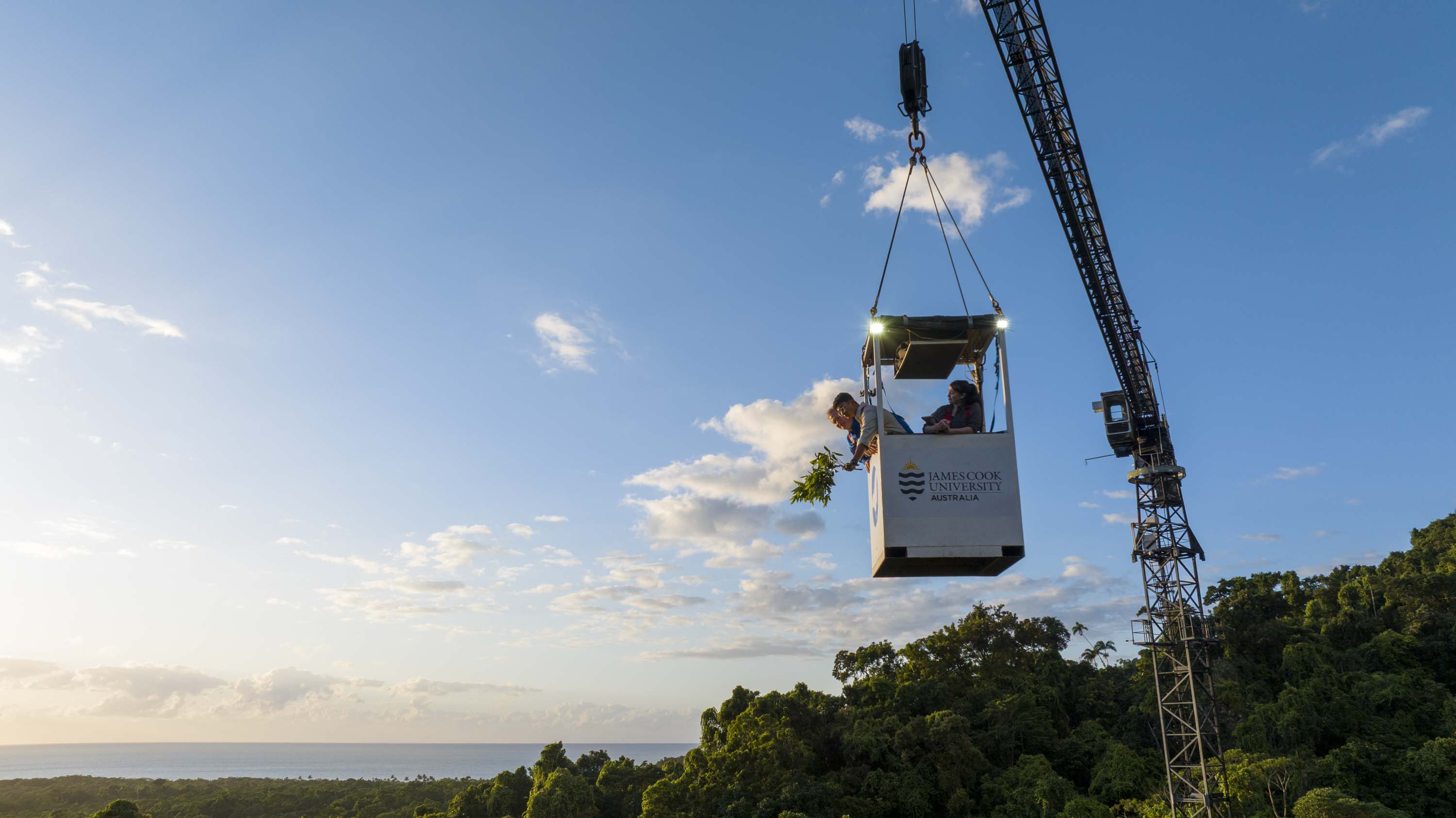 Daintree Observatory