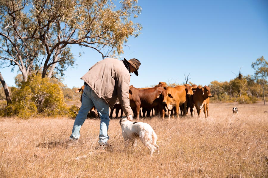 Fletcherview station